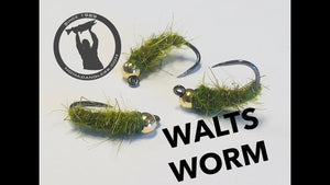Walts' Worm