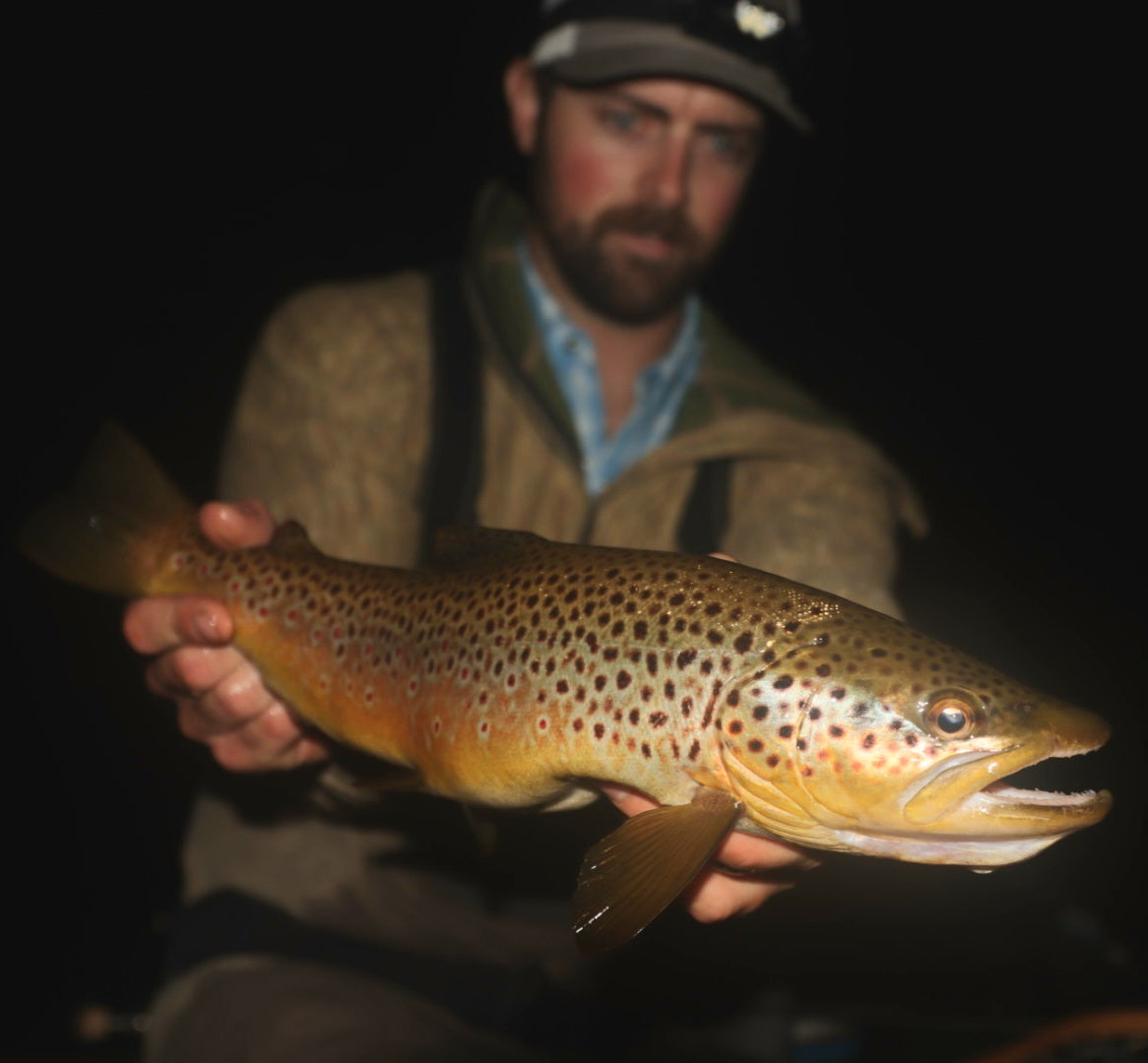 Michigan Fly Fishing Report | June 24th 2024 | Hex Camp – Nomad Anglers