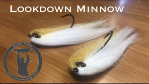 Lookdown Minnow