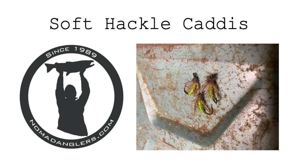 Soft Hackle Caddis
