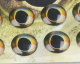 Fish-Skull Living Eyes 10mm / Earth