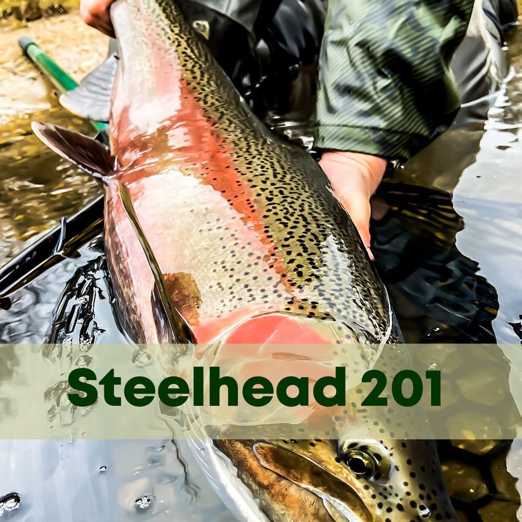 Steelhead 201, Steelhead Fly Fishing Class