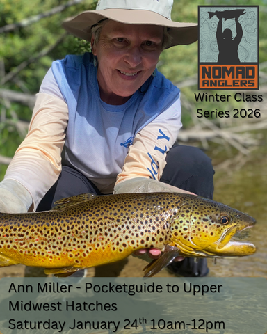 Winter Class Series: Ann Miller