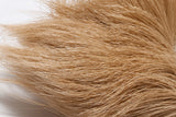 Deer Belly Hair Dyed over White Tan #369