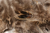 Hen Phesant Body Soft Hackle Natural Brown #244