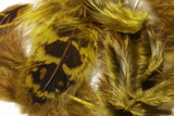 Hen Phesant Body Soft Hackle Olive #263