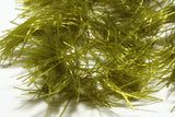 Microflex Palmered Bugger Chenille Olive #263