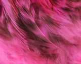 Grizzly Variant Saddle Hackle Fl Hot Pink