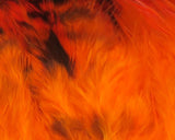 Grizzly Variant Saddle Hackle Hot Orange