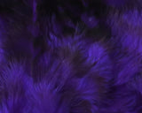 Grizzly Variant Saddle Hackle Bright Purple