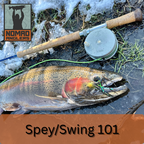 Spey/Swing 101