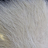 Arctic Fox Body Hair #165 Gray