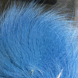 Arctic Fox Tail Hair #199 Kingfisher Blue