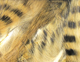 Black Barred Magnum Rabbit Strips #205 Light Brown