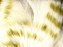 Olive Barred Magnum Rabbit Strips - #377 White