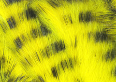 Black Barred Rabbit Strips - #383 Yellow