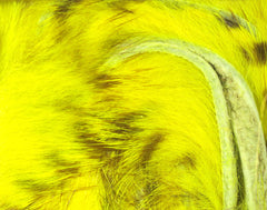 Brown Barred Rabbit Strips - Yellow