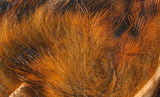 Black Barred Rabbit Strips #71 Crawfish Orange