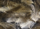 Cul De Canard Feathers #245 Natural Dun