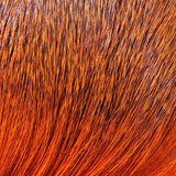 Dyed Deer Body Hair Orange #271