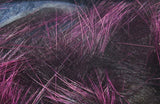 Frostip Rabbit Strips #2 Black/Fuchsia