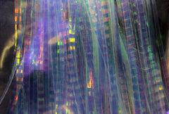 Lateral Scale - Pearl