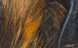 Magnum Frostip Rabbit Strips #4 Black / Orange