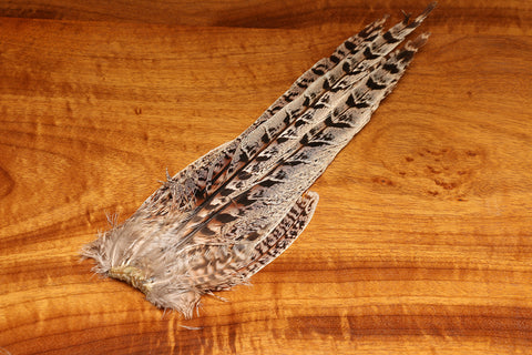 Ringneck Hen Pheasant Tail Clump