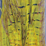 Dyed Ringneck Pheasant Tail Clump #383 Yellow