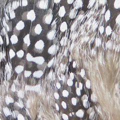 Strung Guinea Feathers - #242 Natural