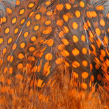 Strung Guinea Feathers #271 Orange