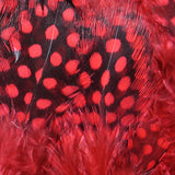 Strung Guinea Feathers #310 Red