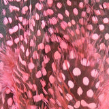 Strung Guinea Feathers #343 Shrimp Pink