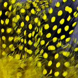 Strung Guinea Feathers #383 Yellow