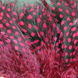 Strung Guinea Feathers #63 Claret