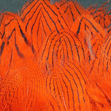 Strung Silver Pheasant Body Feathers #187 Hot Orange Silver