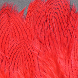 Strung Silver Pheasant Body Feathers #310 Red Silver