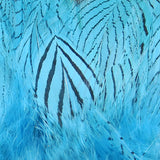 Strung Silver Pheasant Body Feathers #347 Silver Doctor Blue Silver