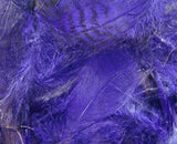 Teal Flank Feathers #298 Purple