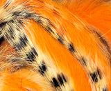 Tiger Barred Magnum Rabbit Strips #17 Black Barred White Tipped Hot Orange