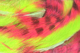 Tiger Barred Magnum Rabbit Strips #9 Hot Pink Brown Over Chartreuse