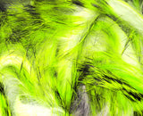 Tiger Barred Rabbit Strips #16 Black Barred Chartreuse Over White