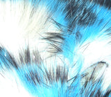 Tiger Barred Rabbit Strips #3 Blue Black Over White