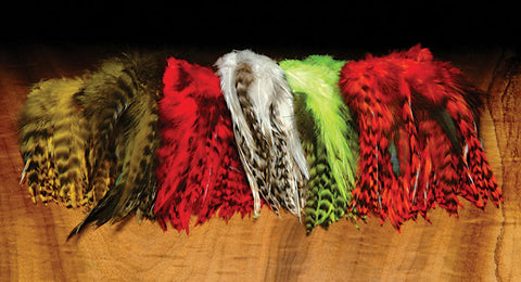 Grizzly Variant Saddle Hackle