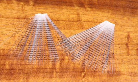 Barred Mayfly Tails