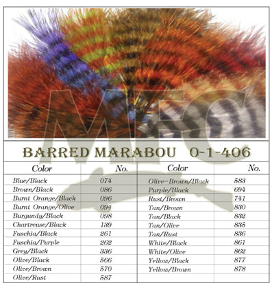 Barred Marabou