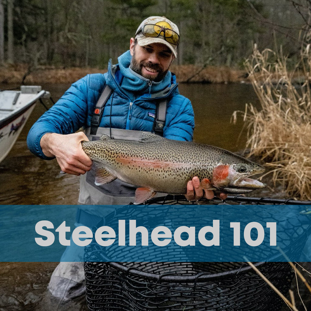 Free Steelhead 101, Learn to Fly Fish for Steelhead, learn fly fishing 